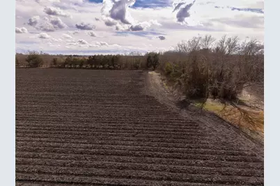 Tbd Fm 1952, Wallis, TX 77485 - Photo 21