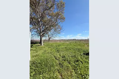 6616 County Road 225, East Bernard, TX 77435 - Photo 5