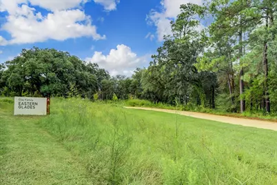 908 Thompson Street, Houston, TX 77007 - Photo 37