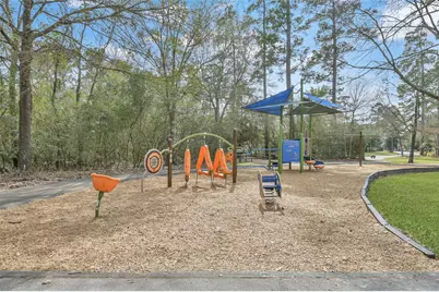 22 Almond Branch Place, The Woodlands, TX 77382 - Photo 47