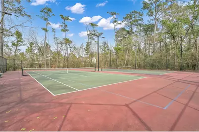 22 Almond Branch Place, The Woodlands, TX 77382 - Photo 45