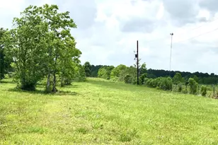 14153 Hamshire Rd, Hamshire, TX 77622 - Photo 1