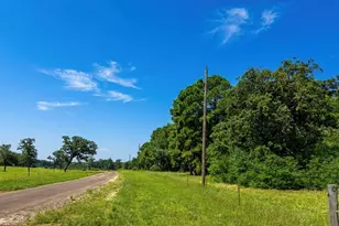 2447 Cr 261, Buffalo, TX 75831 - Photo 1