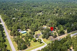 25003 Joseph Rd, Hockley, TX 77447 - Photo 47