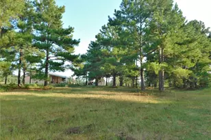 11914 Browder Traylor Rd, Conroe, TX 77303 - Photo 9