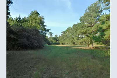 11914 Browder Traylor Road, Conroe, TX 77303 - Photo 13