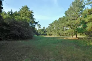 11914 Browder Traylor Rd, Conroe, TX 77303 - Photo 13