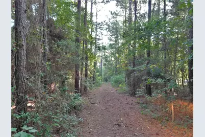 11914 Browder Traylor Road, Conroe, TX 77303 - Photo 11