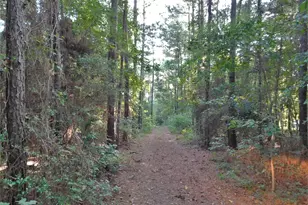 11914 Browder Traylor Rd, Conroe, TX 77303 - Photo 11