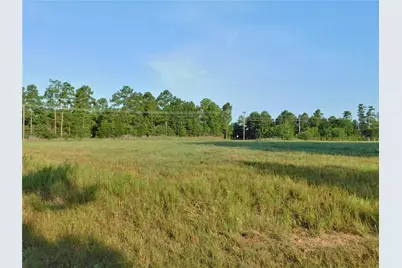 11914 Browder Traylor Road, Conroe, TX 77303 - Photo 5