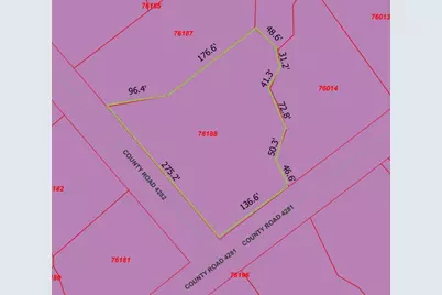 131 County Road 4282, Dayton, TX 77535 - Photo 3