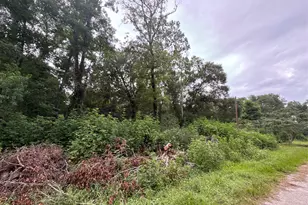 131 Co Rd 4282, Dayton, TX 77535 - Photo 1