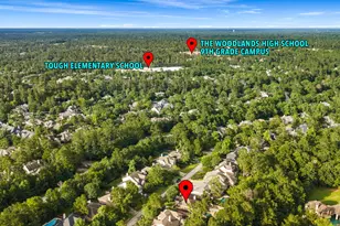 55 W Matisse Meadow Ct, The Woodlands, TX 77382 - Photo 39