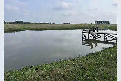 86 Acres Ganske Rd, Burton, TX 77835 - Photo 5