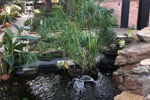 3938 W Alabama St, Houston, TX 77027 - Photo 3