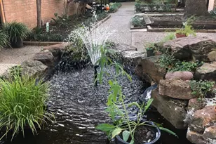 3938 W Alabama St, Houston, TX 77027 - Photo 11