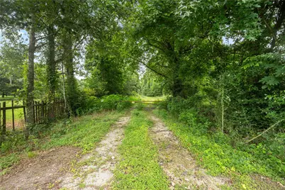 0 County Road 2084 Street, Liberty, TX 77575 - Photo 3