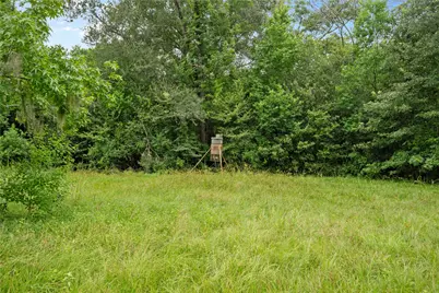0 County Road 2084 Street, Liberty, TX 77575 - Photo 13