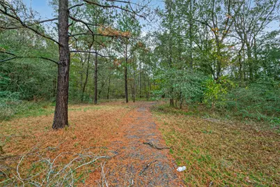 11497 Coon Hollow Road, Conroe, TX 77306 - Photo 21