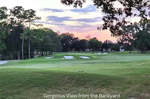 38 Fairway Park, Montgomery, TX 77356 - Photo 41