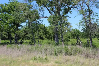 Tr 53 Pr 1315 Road, Centerville, TX 75833 - Photo 5