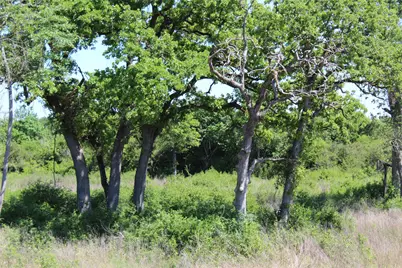 Tr 53 Pr 1315 Road, Centerville, TX 75833 - Photo 7