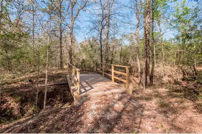 315 Polk, Lovelady, TX 75851 - Photo 11