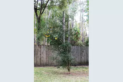 2239 Deer Cove Trail, Houston, TX 77339 - Photo 39
