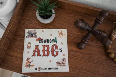 9619 Chatfield Street, Houston, TX 77025 - Photo 23