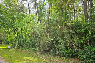 Tbd Bernard Court, Porter Heights, TX 77365 - Photo 1