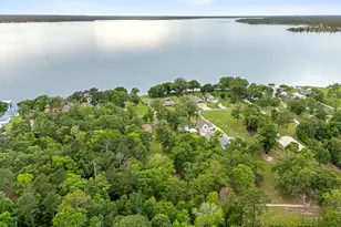 439 Lakeview Harbor, Livingston, TX 77351 - Photo 21