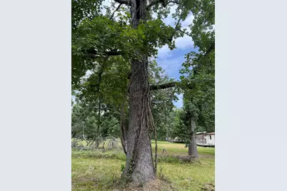 Lot 7 Block 8 Monticello Street, Trinity, TX 75862 - Photo 3