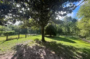 173 Bobcat Trail Trail, Livingston, TX 77351 - Photo 5