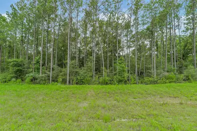 15832 Ridge Oak Road, Willis, TX 77378 - Photo 3