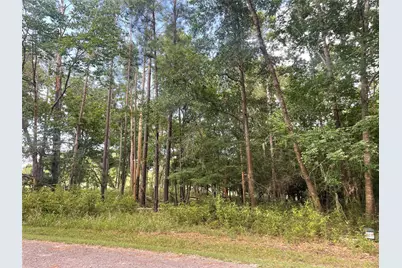 11 Crown Drive, Coldspring, TX 77331 - Photo 3