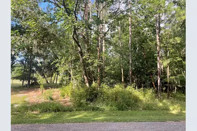 11 Crown Drive, Coldspring, TX 77331 - Photo 1