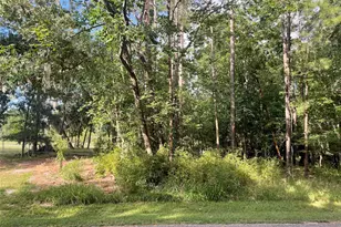 11 Crown Dr, Coldspring, TX 77331 - Photo 1