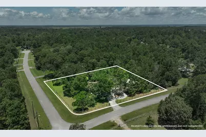 25175 Amanda Lane, Hockley, TX 77447 - Photo 3