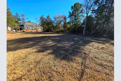 24887 Roscommon, Hempstead, TX 77445 - Photo 3