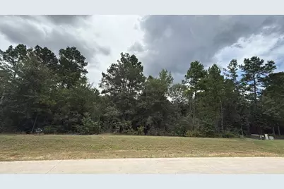 23725 Birch Grove Rd, Montgomery, TX 77316 - Photo 5
