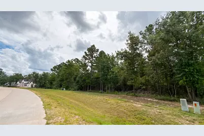 23725 Birch Grove Rd, Montgomery, TX 77316 - Photo 1