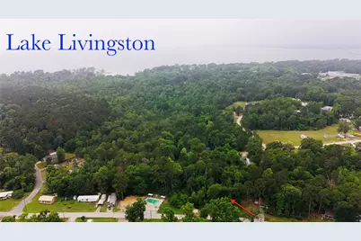 Tbd Impala Drive, Onalaska, TX 77360 - Photo 1