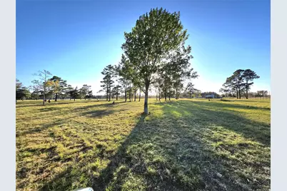 730 County Road 6610, Dayton, TX 77535 - Photo 11