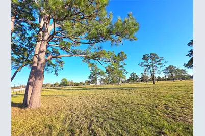 730 County Road 6610, Dayton, TX 77535 - Photo 3