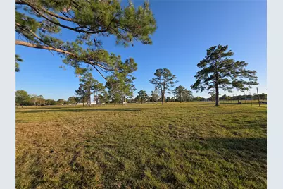730 County Road 6610, Dayton, TX 77535 - Photo 5