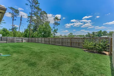 384 Mallorn Lane, Montgomery, TX 77316 - Photo 43