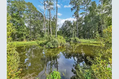 24591 Highway 321, Cleveland, TX 77327 - Photo 21