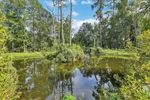 24591 Hwy 321, Cleveland, TX 77327 - Photo 21