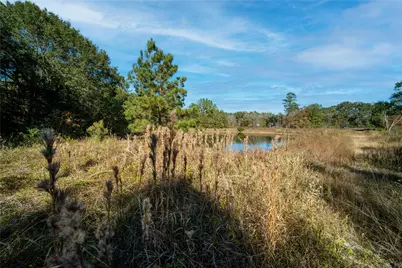 00 Fm-1774, Plantersville, TX 77363 - Photo 5