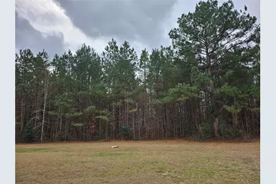 22647 Kelly Drive, Saratoga, TX 77585 - Photo 29